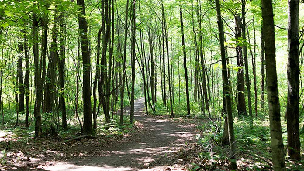 Meridian-Baseline State Park trail Meridian-Baseline State Park trail