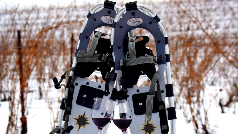 Snowshoe.jpg Snowshoe.jpg