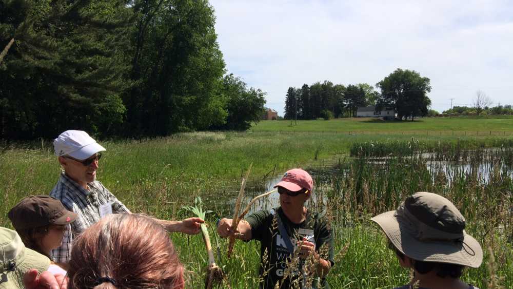 Wild Edibles Workshop 20180609.jpg Wild Edibles Workshop 20180609.jpg