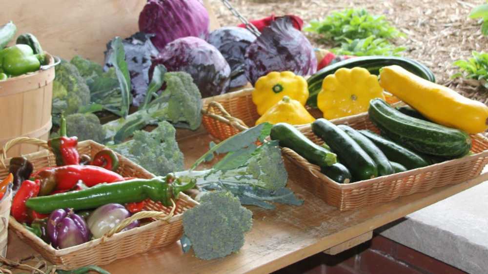 marquette.farmers.market.jpg marquette.farmers.market.jpg