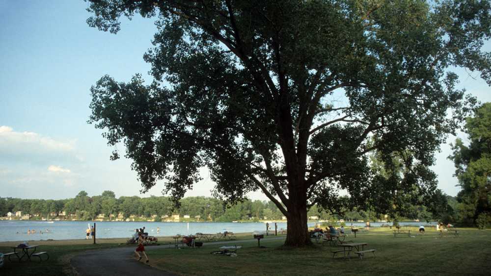 Waterloo Recreation Area beach Waterloo Recreation Area beach