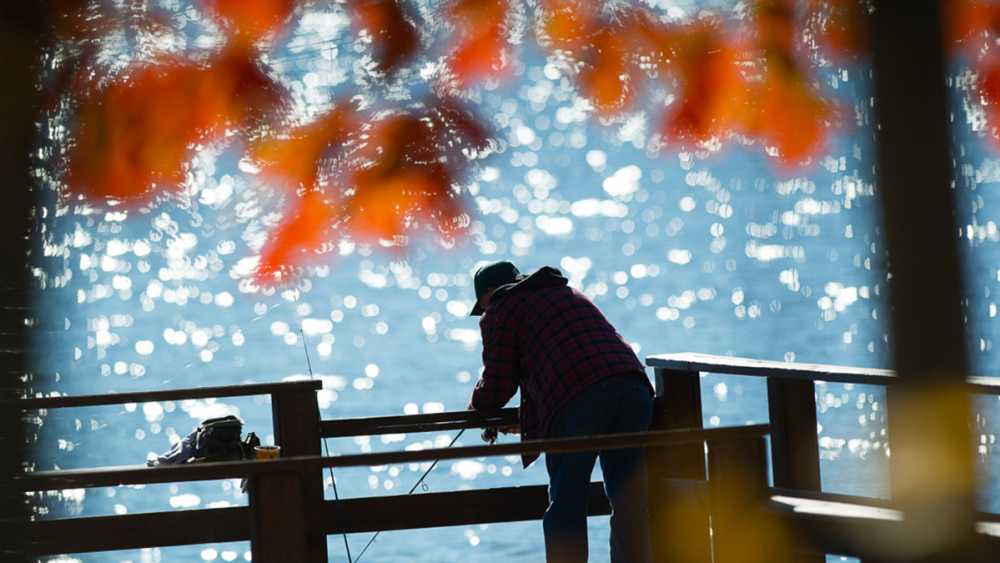 Man fishing at Ionia State Park Man fishing at Ionia State Park