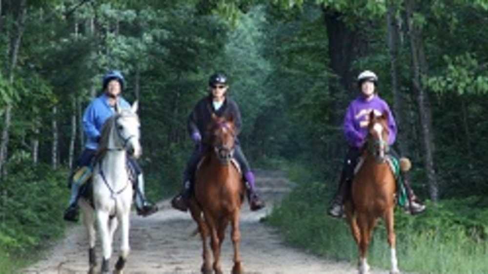 DNR, Hopkins Creek, Great Lakes Distance Riders Association DNR, Hopkins Creek, Great Lakes Distance Riders Association