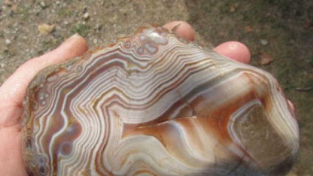 DNR, Muskallonge, Agate DNR, Muskallonge, Agate