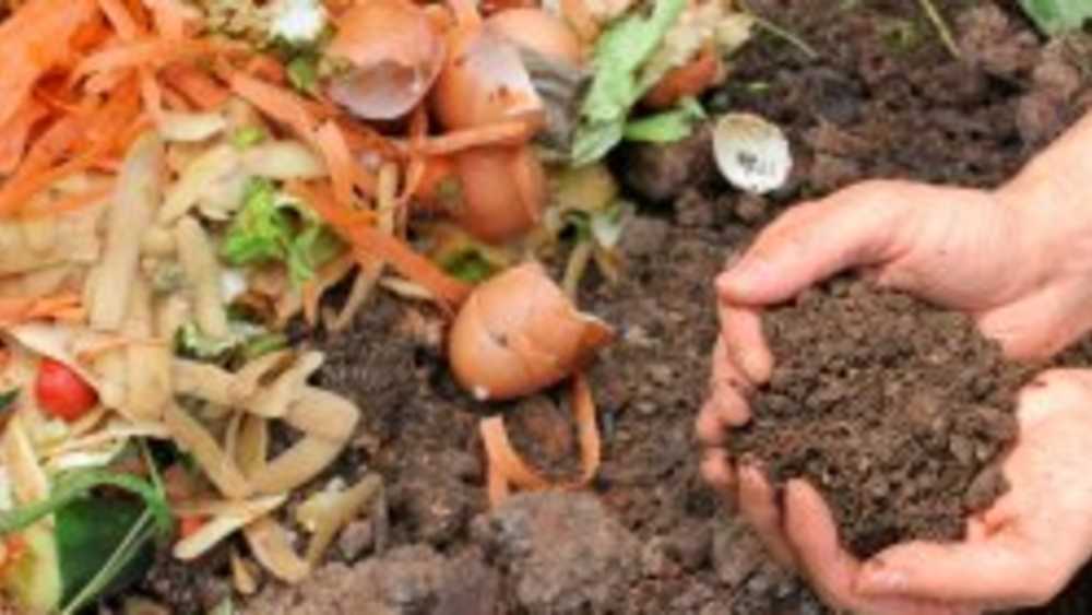 Compost pile Compost pile