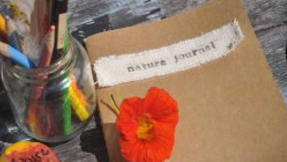 nature journal nature journal