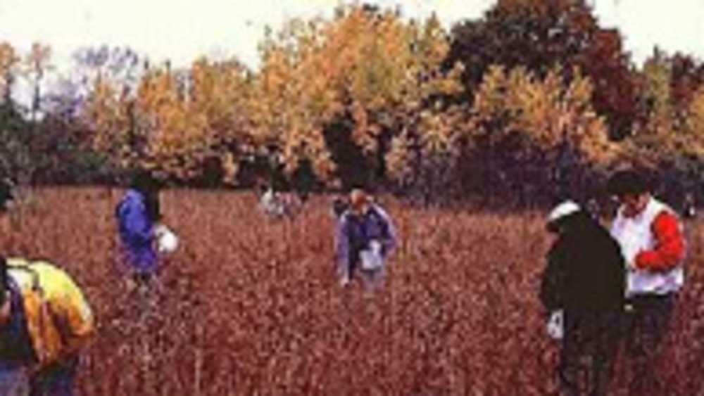 DNR-rec-seedvolunteers1-seed volunteers DNR-rec-seedvolunteers1-seed volunteers