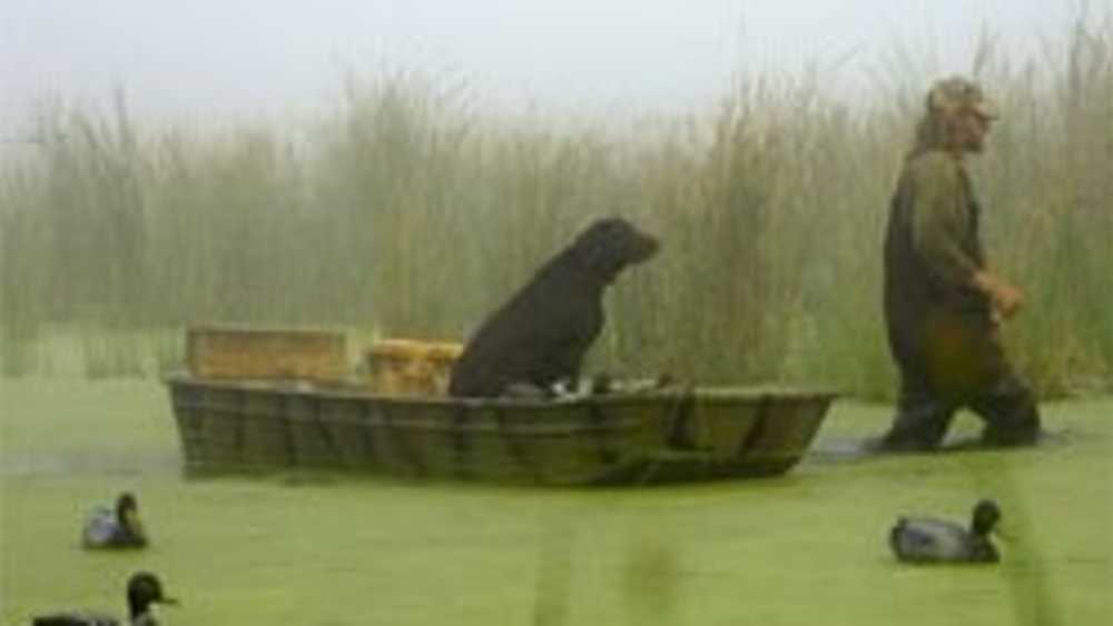 waterfowl hunter with dog waterfowl hunter with dog