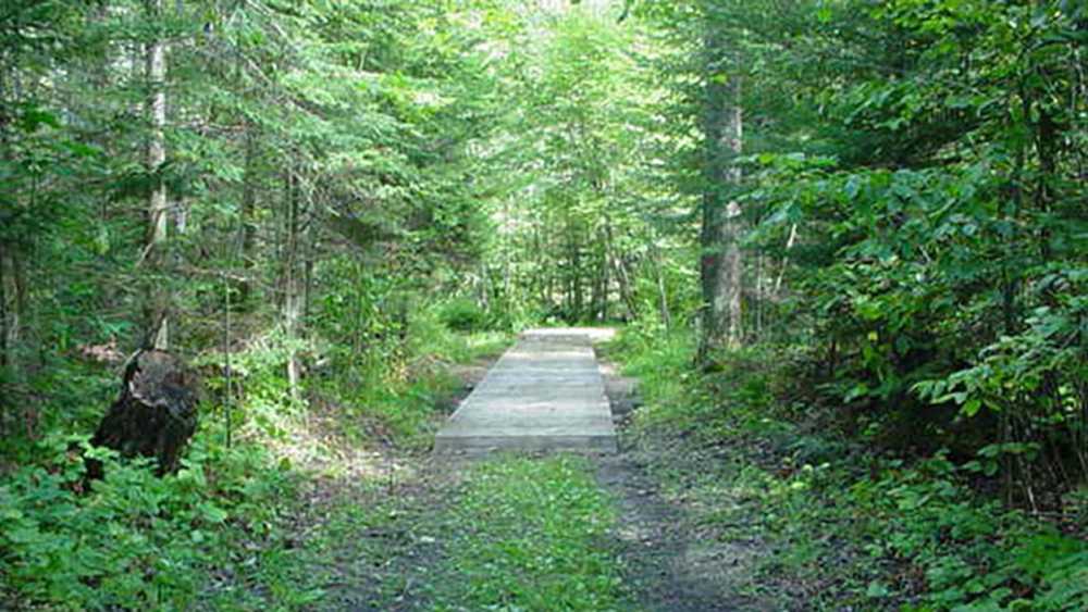 Negwegon State Park board walk Negwegon State Park board walk
