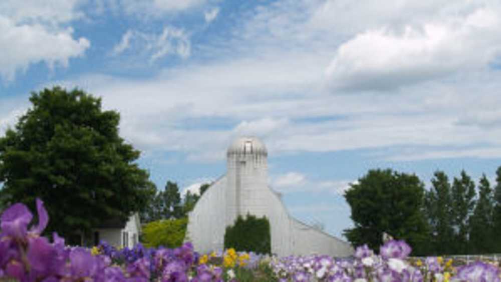 Iris Farm Iris Farm