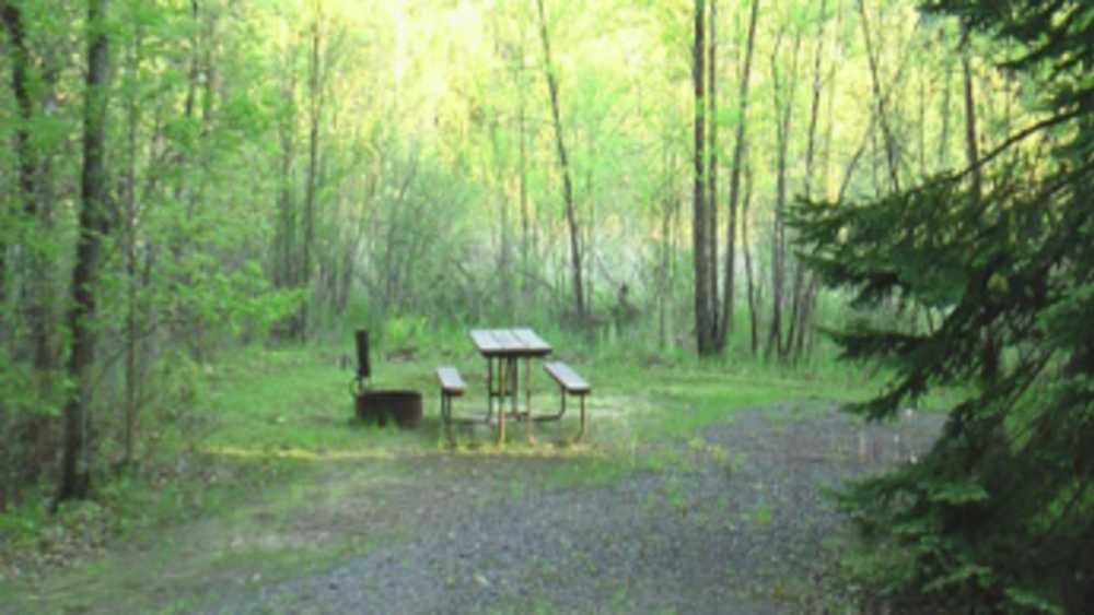 Black River State Forest Campground  Michigan