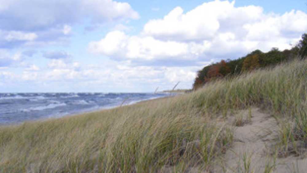 Saugatuck Dunes State Park in Michigan Saugatuck Dunes State Park in Michigan