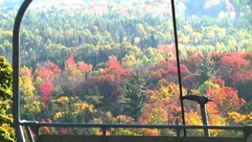 Treetops Oktoberfest Treetops Oktoberfest