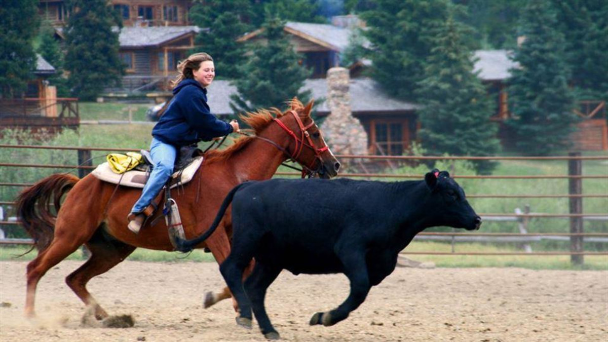 paradise rest guest ranch