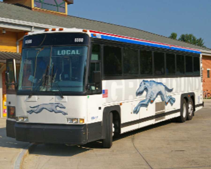 bus from traverse city to detroit airport bus from traverse city to detroit airport