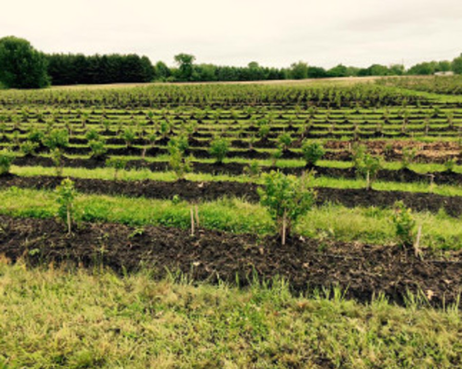 Farms & Cider Mills Michigan