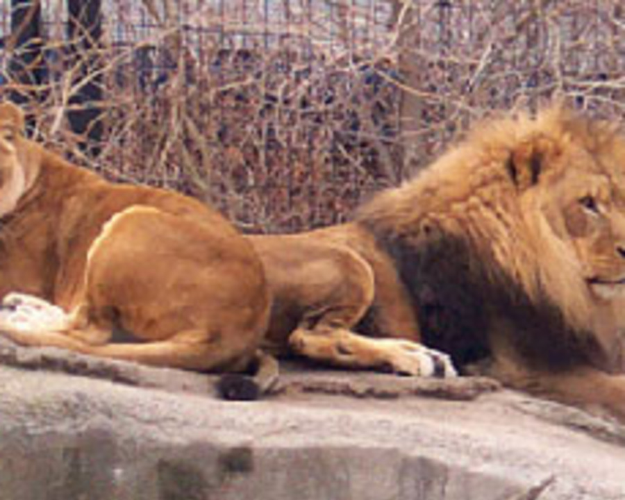 Aquariums & Zoos Michigan