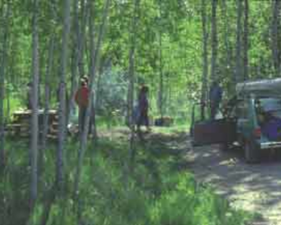 acorn campground au sable river michigan