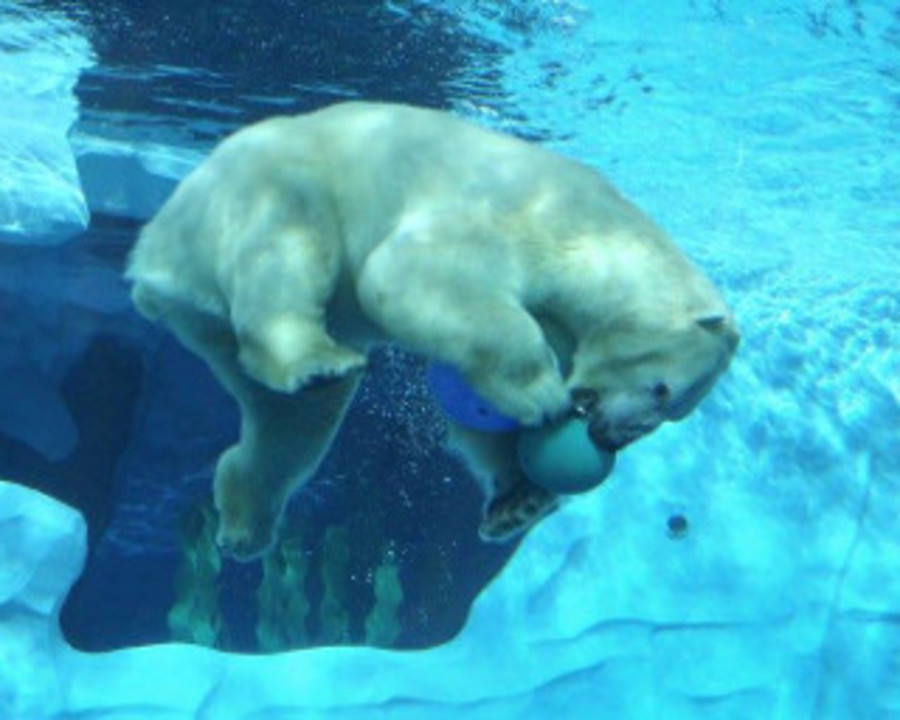 Aquariums & Zoos Michigan