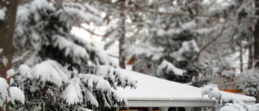 snow tuscant.JPG snow tuscant.JPG