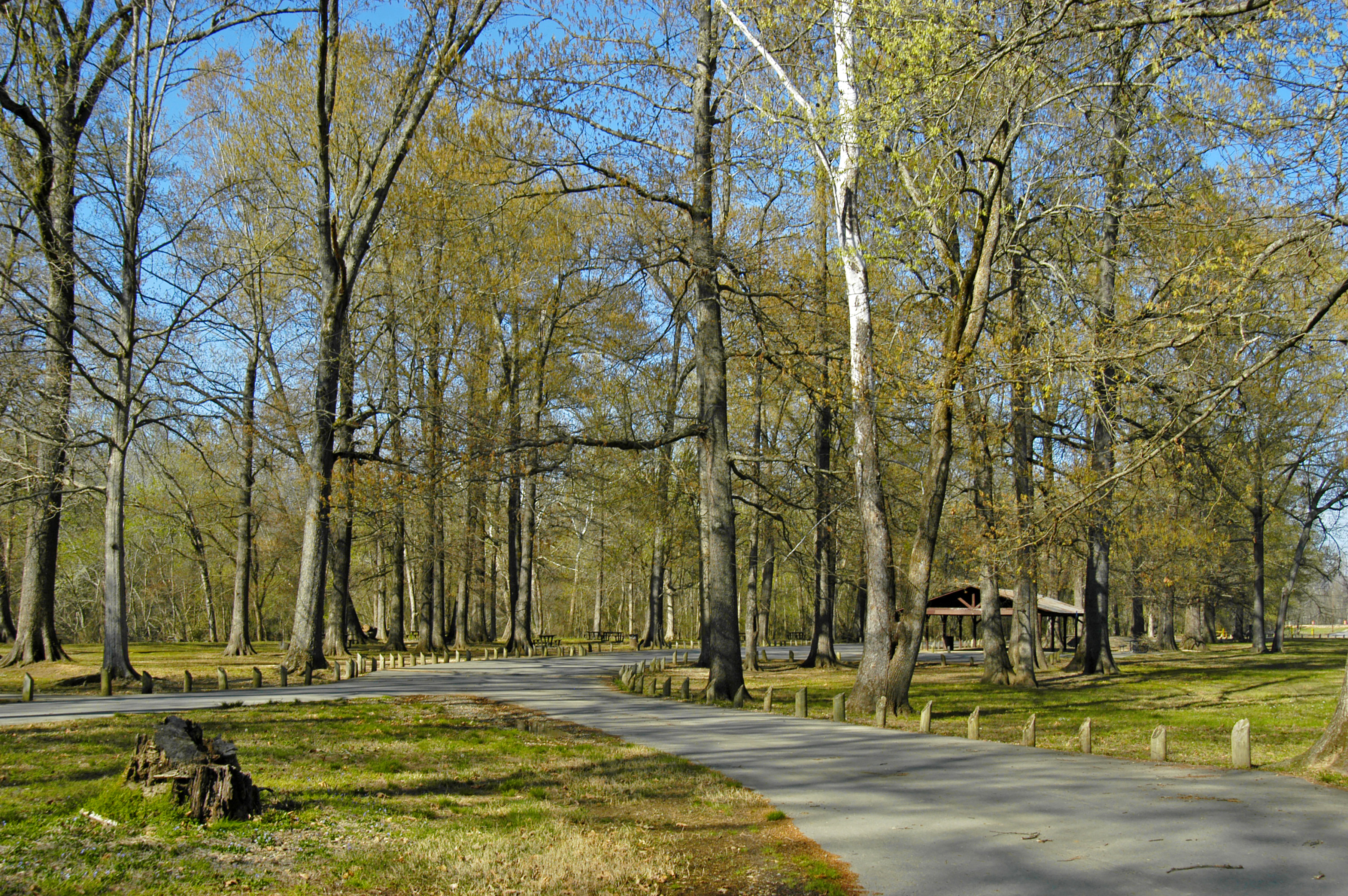 Jenkins' Ferry Battleground State Park trail