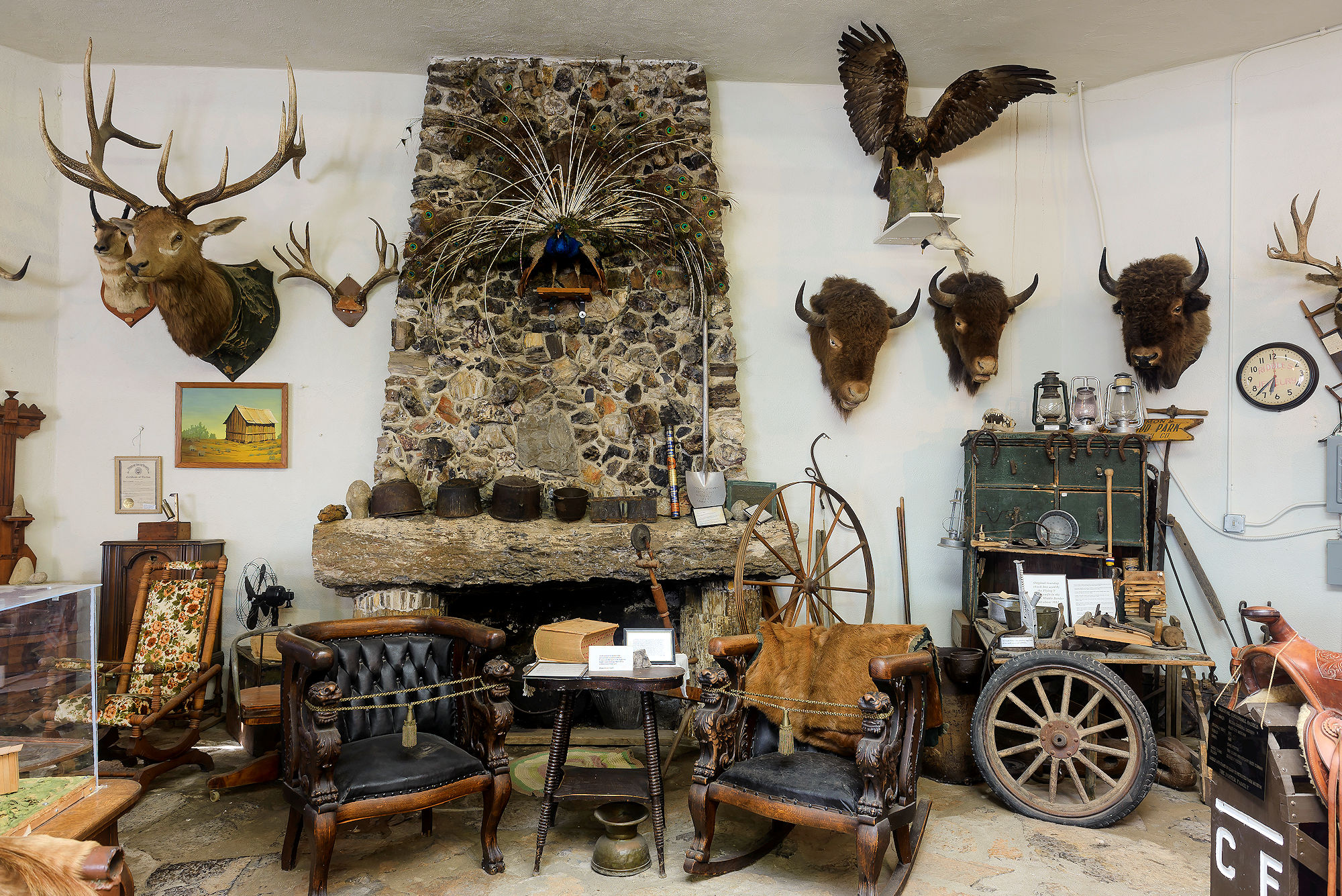 Petrified Wood Park & Museum | Travel South Dakota