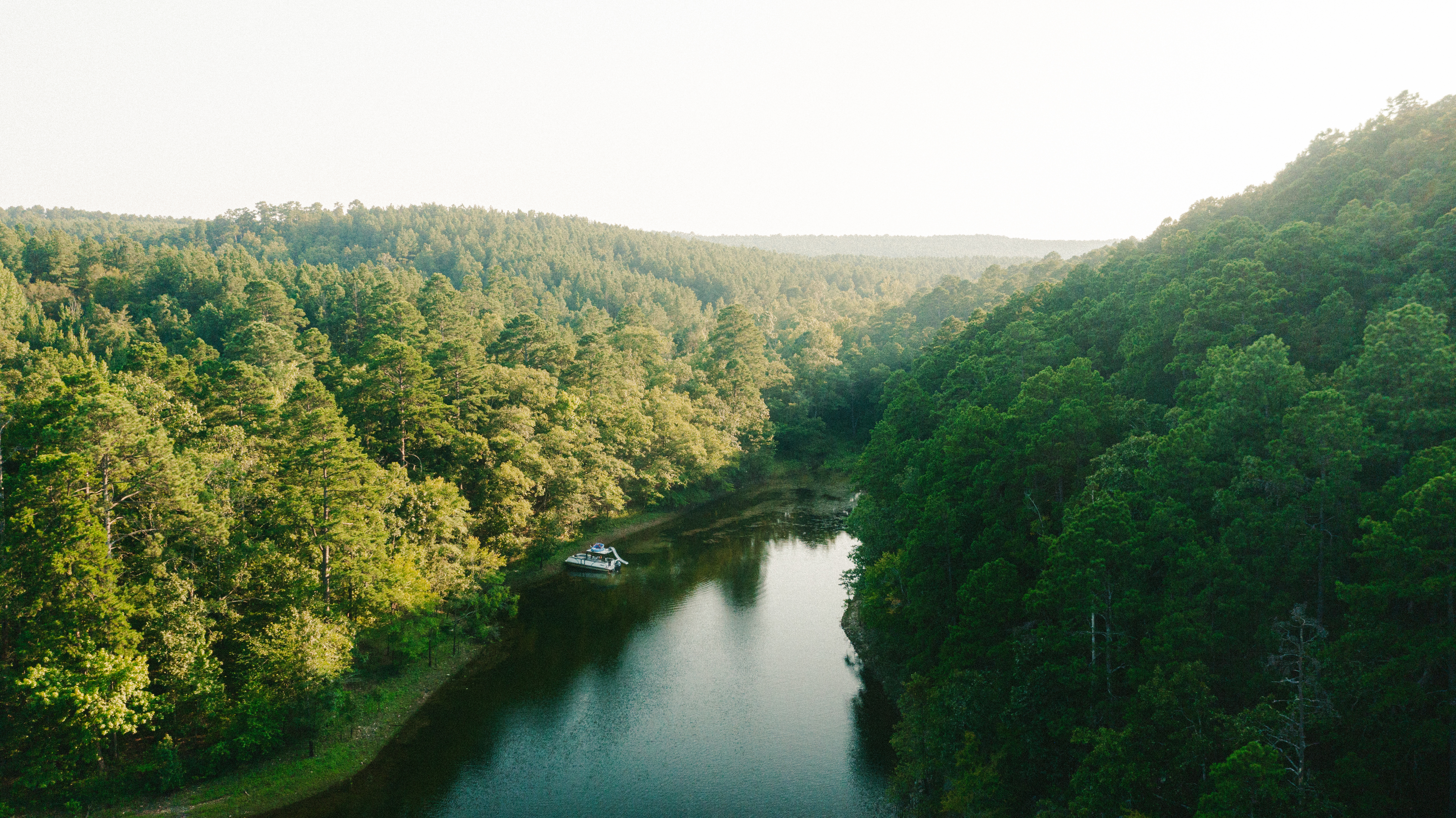 Pontoon boat cruising through a narrow tree-lined inlet on DeGray Lake with calm water and dense forest all around.