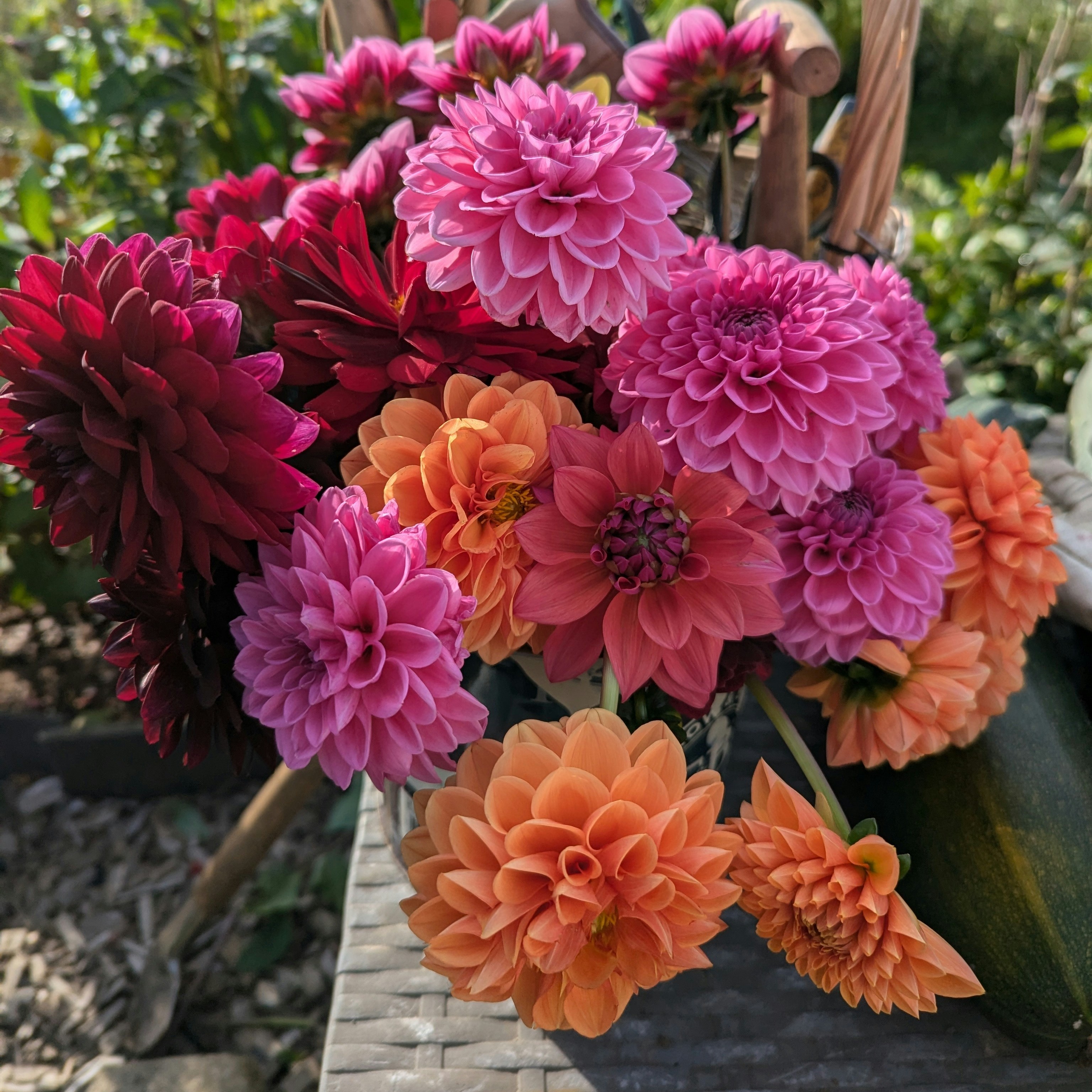Picture of local blossoms