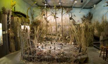 Museum of the Arkansas Grand Prairie