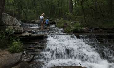 Collins Creek