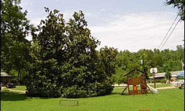 Blackburns Resort and Boat Rental has it all and at the best price.