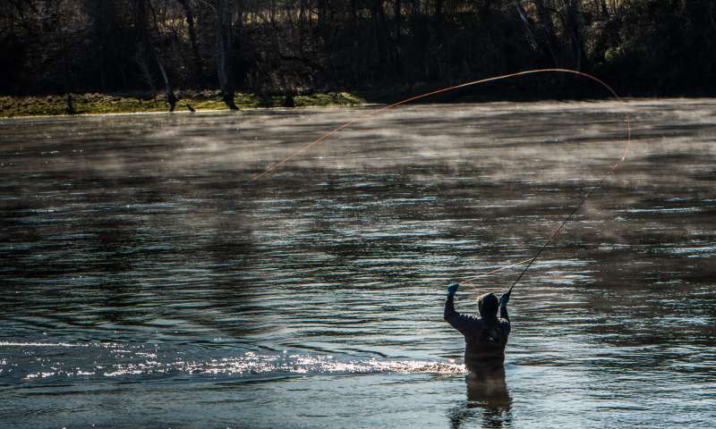 Bull Shoals-White River State Park is an angler's paradise