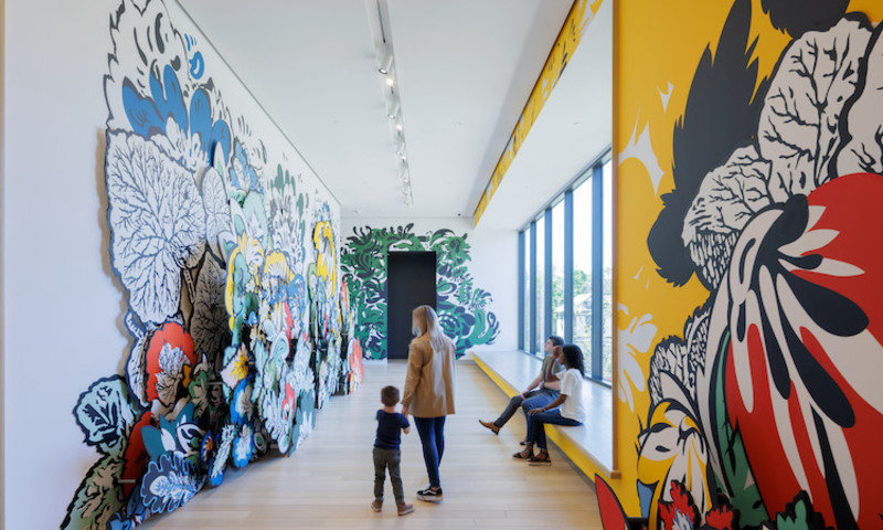 Arkansas Museum of Fine Arts