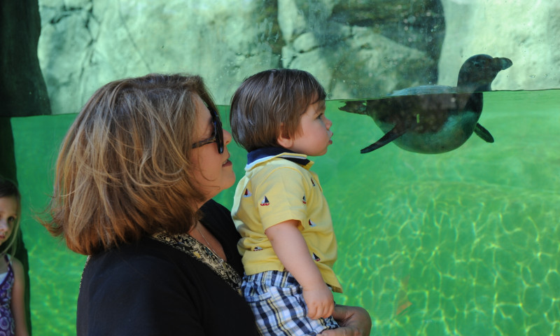 Little Rock Zoo