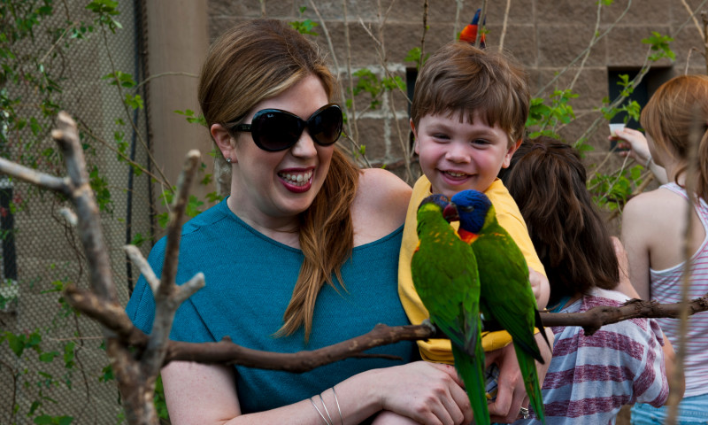 Little Rock Zoo