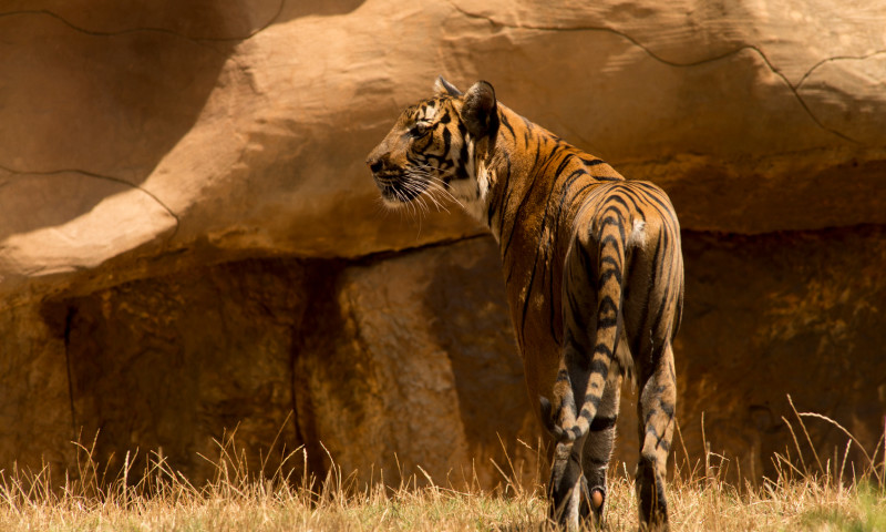 Little Rock Zoo