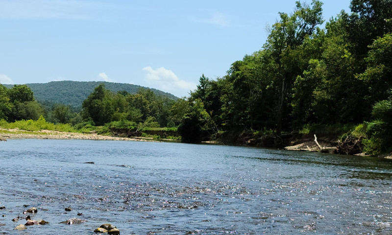Down River View