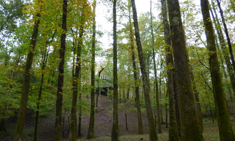 River View Cabins & Canoes