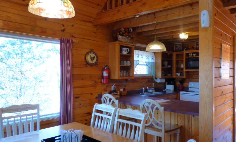 River View Cabins & Canoes