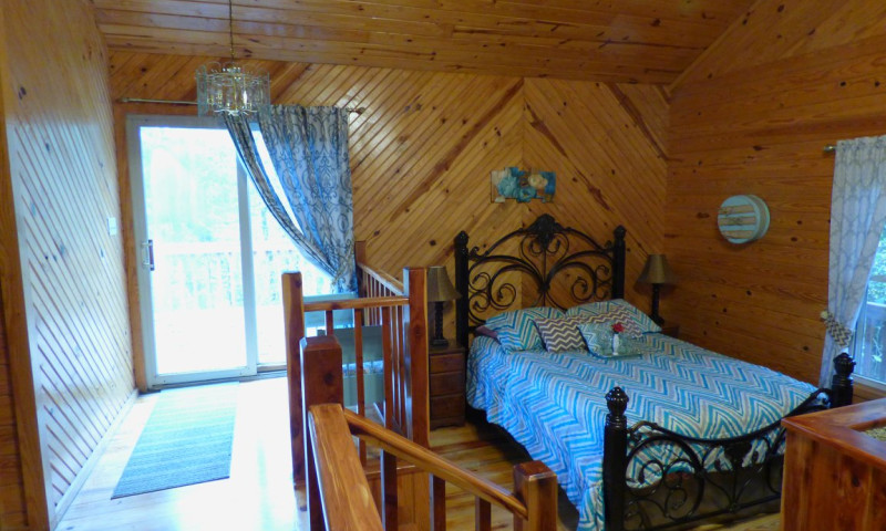 River View Cabins & Canoes