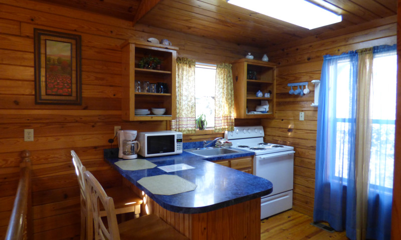 River View Cabins & Canoes