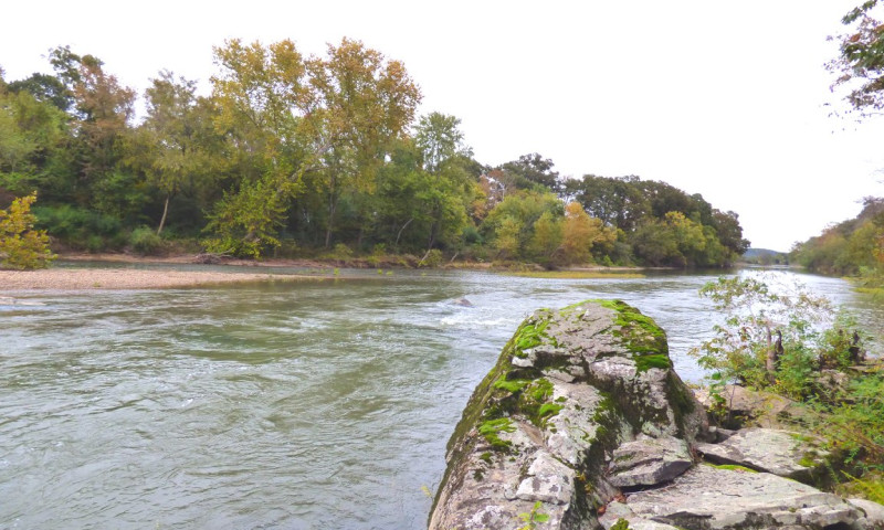 River View Cabins & Canoes