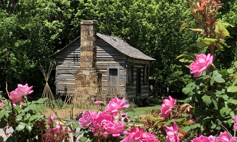 Pink flowers in the foreground with log cabin and stone chimney.