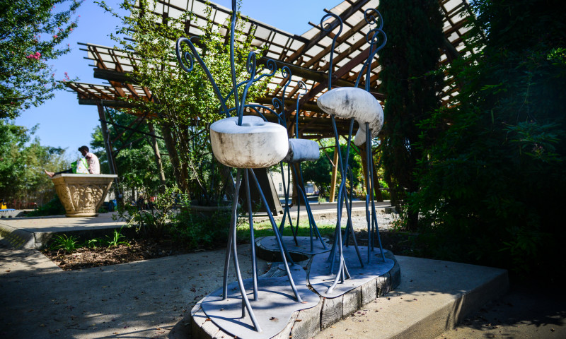 Bernice Garden