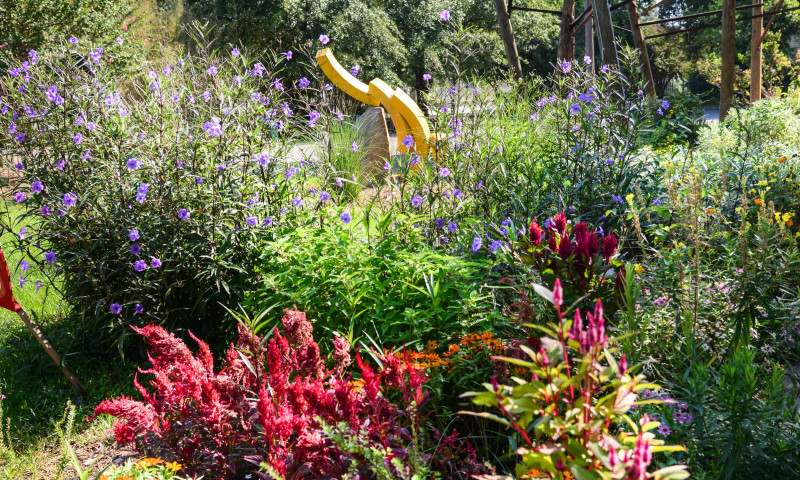 Bernice Garden