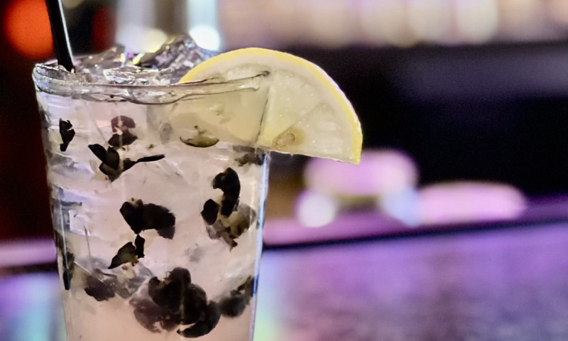 Cocktail glass with lemon garnish sitting on bar under purple lights.