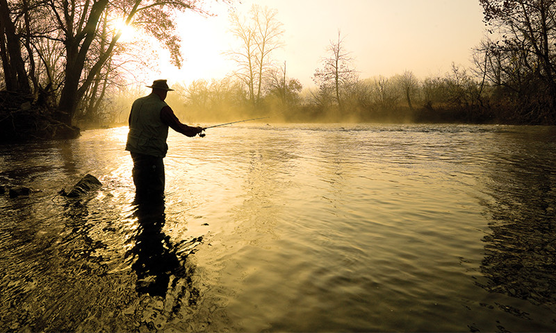 Crooked Creek