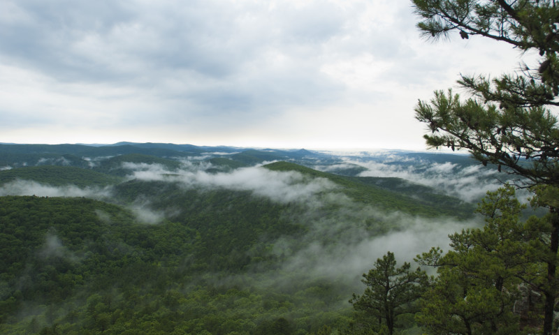 Ouachita National Forest