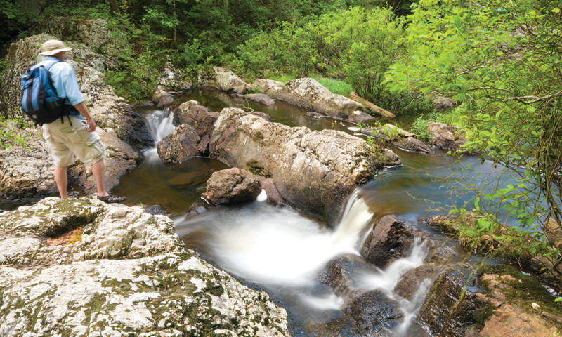 Ouachita National Forest