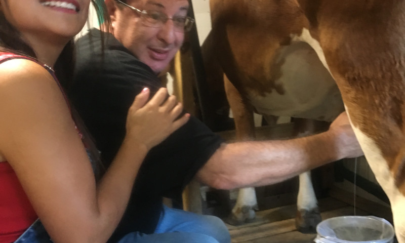 Dogwood Hills Guest Farm